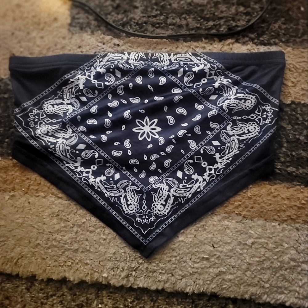 Bandana print tube top